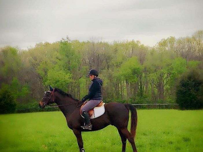 America's Best racing: Q&A on Horse Aftercare with Retired Racehorse Project’s Jen Roytz