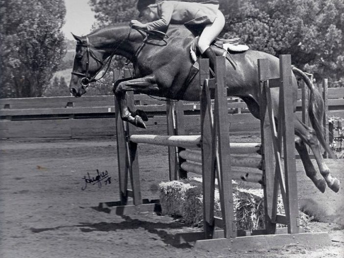 The Plaid Horse: Throwback Thursday Trends We Miss: Thoroughbred Hunters