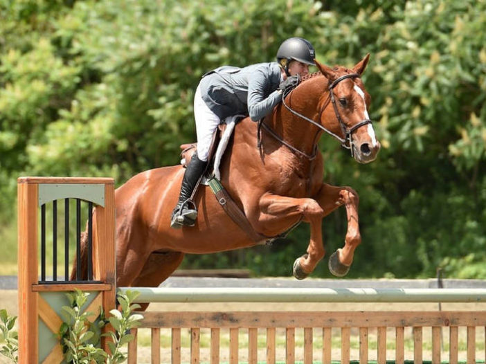 TAPINTO HORSES: New York Thoroughbreds Shine at Vermont Summer Festival