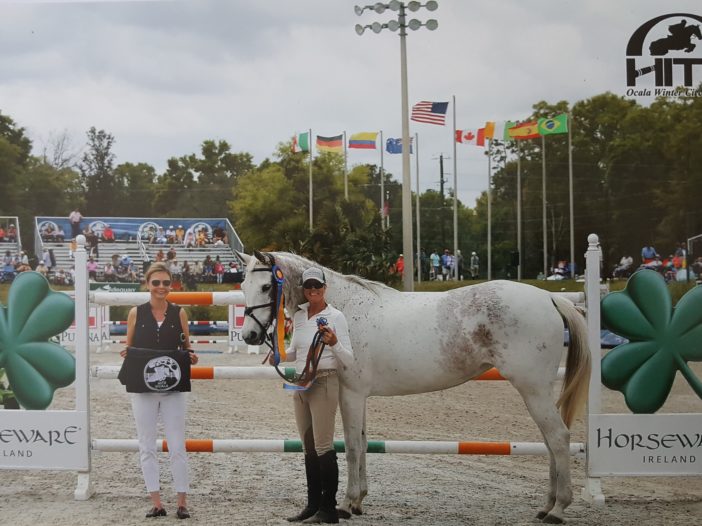 TAKE2 News: Touching Story, A Rescued Mare Now a TAKE2 Champion