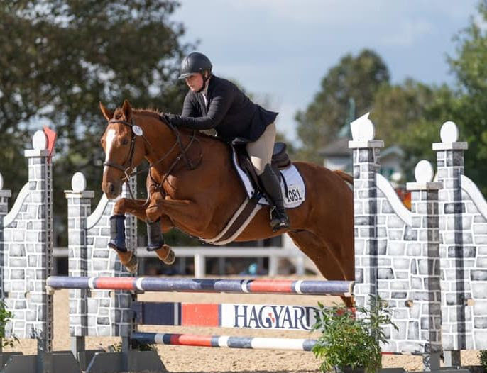 The Plaid Horse: TAKE THE LEAD Grads Shine at RRP Thoroughbred Makeover