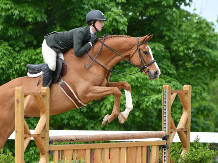 KY Horse Shows: Tess Fortune and MVP Lead TAKE2 Thoroughbred Hunter Division