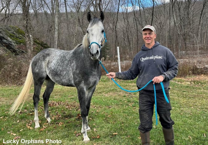 Paulick Report: Montauk Traffic A Healing Presence At Lucky Orphans Horse Rescue
